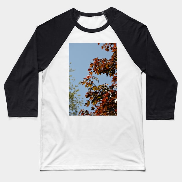 Autumnal Baseball T-Shirt by tessiaphoto